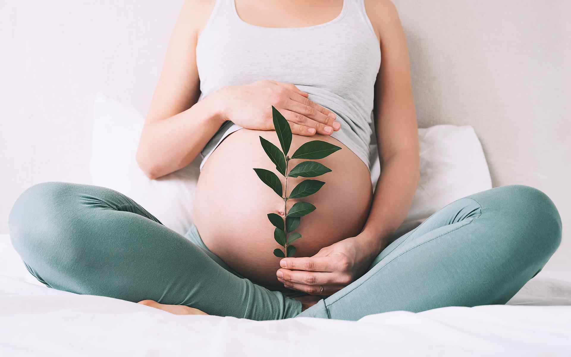 https://wohler.com.tr/wp-content/uploads/2018/09/post_07.jpg